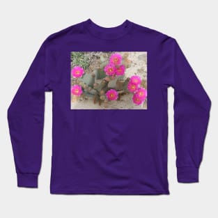 Beavertail cactus, nature, gifts, Desert Beauty Long Sleeve T-Shirt